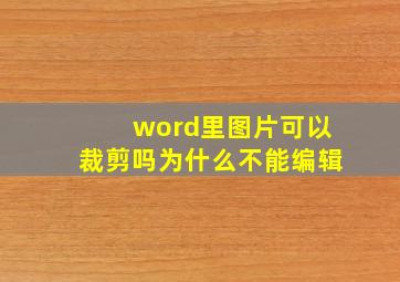 word里图片可以裁剪吗为什么不能编辑