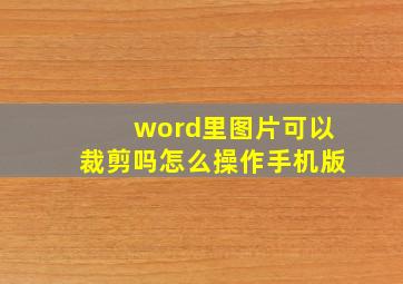 word里图片可以裁剪吗怎么操作手机版