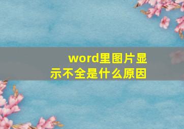 word里图片显示不全是什么原因