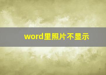 word里照片不显示