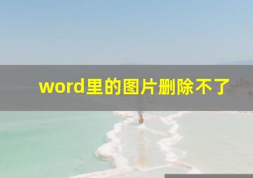 word里的图片删除不了