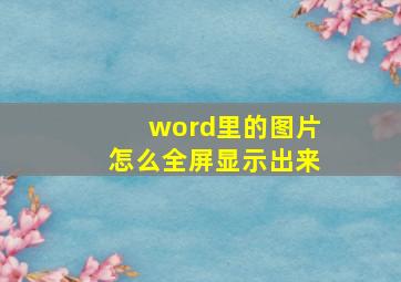 word里的图片怎么全屏显示出来