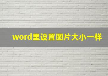 word里设置图片大小一样