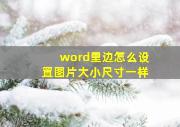 word里边怎么设置图片大小尺寸一样