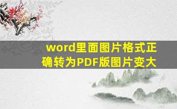 word里面图片格式正确转为PDF版图片变大