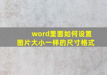 word里面如何设置图片大小一样的尺寸格式