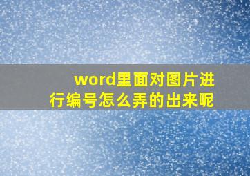 word里面对图片进行编号怎么弄的出来呢