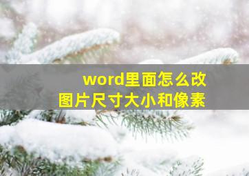 word里面怎么改图片尺寸大小和像素