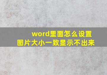 word里面怎么设置图片大小一致显示不出来