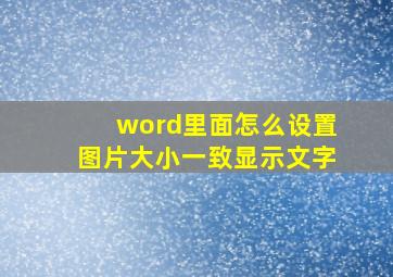 word里面怎么设置图片大小一致显示文字