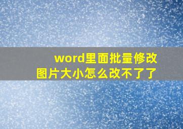 word里面批量修改图片大小怎么改不了了