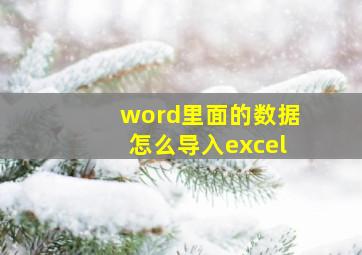 word里面的数据怎么导入excel