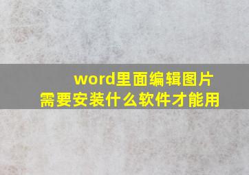 word里面编辑图片需要安装什么软件才能用