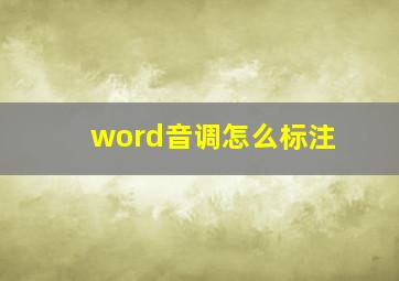 word音调怎么标注