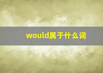 would属于什么词