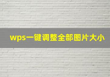 wps一键调整全部图片大小