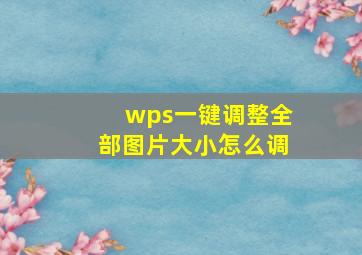 wps一键调整全部图片大小怎么调