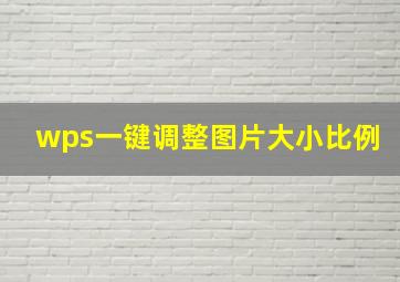 wps一键调整图片大小比例