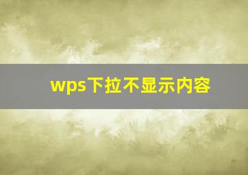 wps下拉不显示内容