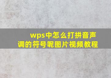 wps中怎么打拼音声调的符号呢图片视频教程