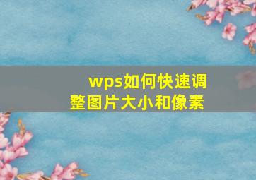 wps如何快速调整图片大小和像素