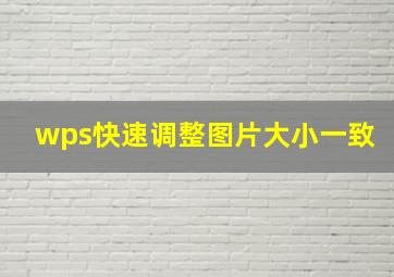 wps快速调整图片大小一致