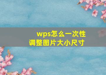 wps怎么一次性调整图片大小尺寸