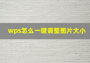 wps怎么一键调整图片大小