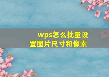 wps怎么批量设置图片尺寸和像素