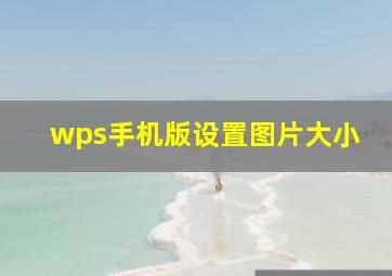 wps手机版设置图片大小