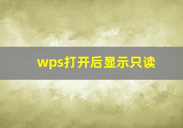 wps打开后显示只读