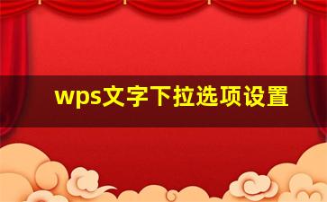 wps文字下拉选项设置