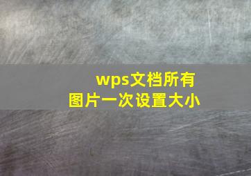 wps文档所有图片一次设置大小