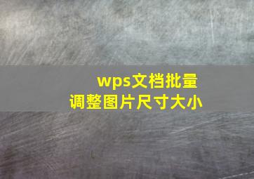 wps文档批量调整图片尺寸大小