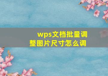 wps文档批量调整图片尺寸怎么调