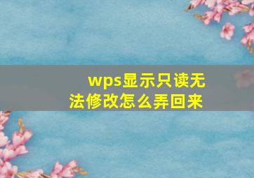 wps显示只读无法修改怎么弄回来