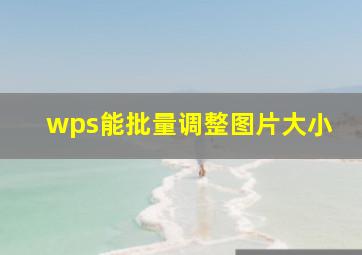 wps能批量调整图片大小