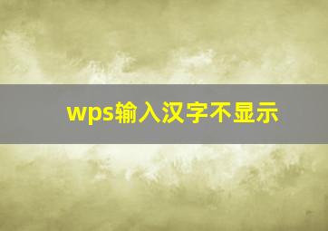 wps输入汉字不显示