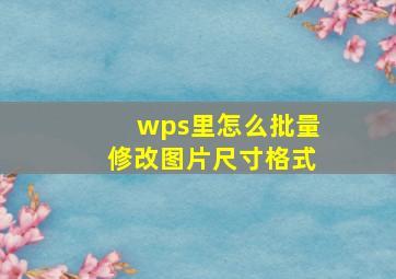 wps里怎么批量修改图片尺寸格式