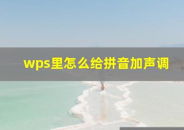 wps里怎么给拼音加声调