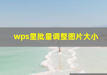 wps里批量调整图片大小