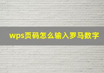 wps页码怎么输入罗马数字