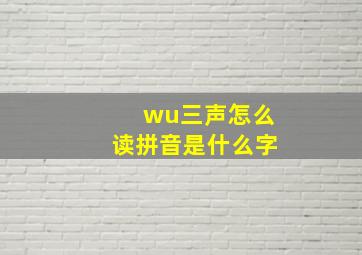 wu三声怎么读拼音是什么字