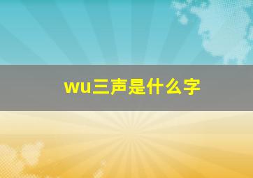 wu三声是什么字