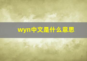 wyn中文是什么意思