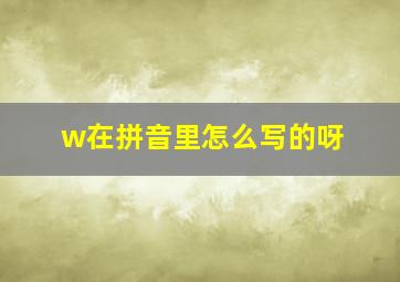 w在拼音里怎么写的呀