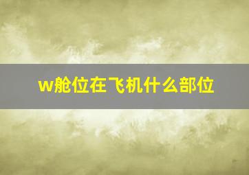 w舱位在飞机什么部位