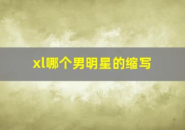 xl哪个男明星的缩写