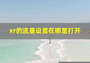 xr的流量设置在哪里打开