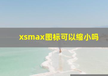 xsmax图标可以缩小吗